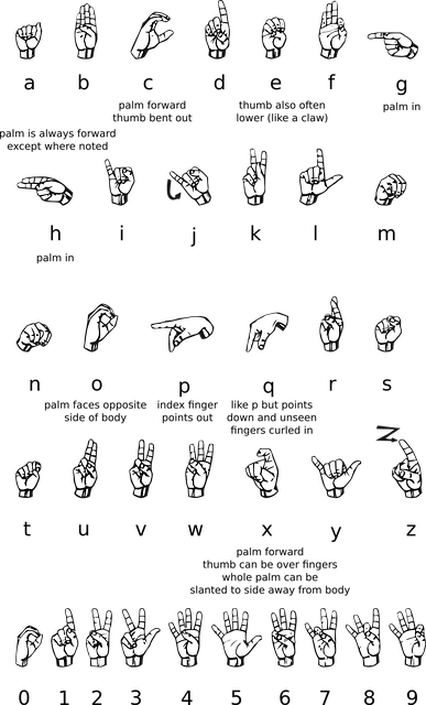 Роль языков в развитии культуры общества: как язык формирует цивилизацию